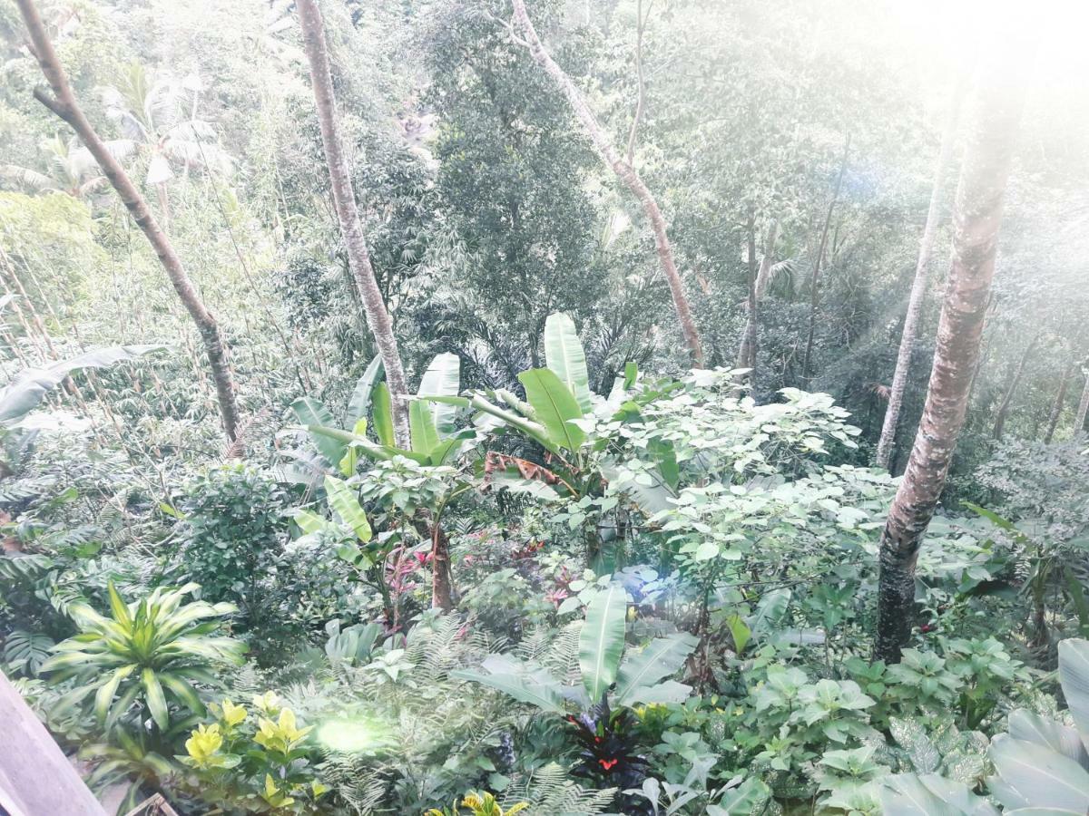 Ubud River Side House Hotell Exteriör bild